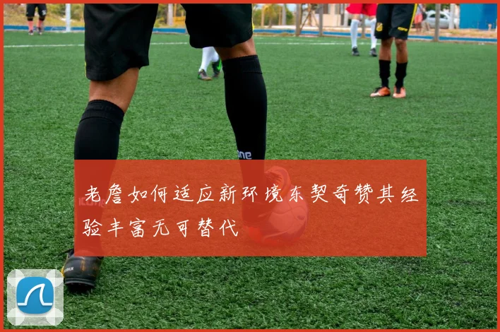 老詹如何适应新环境东契奇赞其经验丰富无可替代