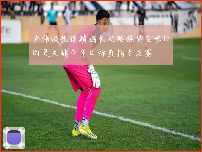 卢伟谈张镇麟成长之路强调合练时间是关键今年目标直指季后赛