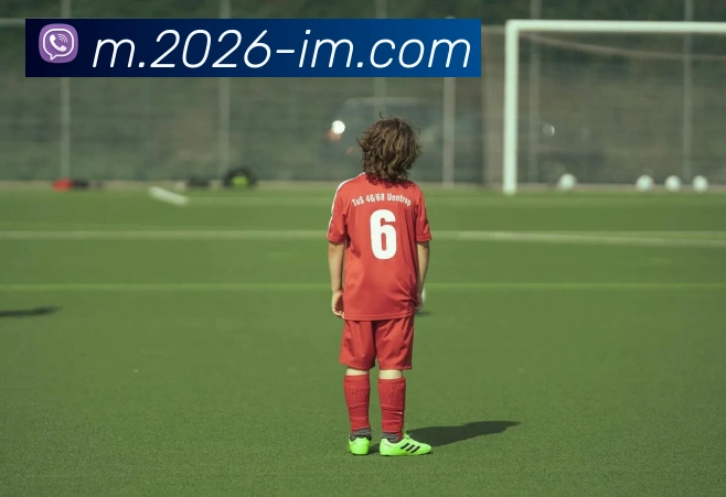 IM体育平台生态图